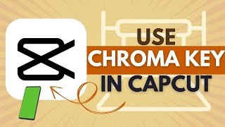 How to Use the Chroma Key in CapCut  CapCut Tutorial [upl. by Asille]