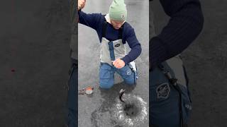 Maine Brook Trout through Thin Ice [upl. by Armbrecht967]