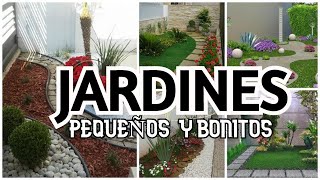 IDEAS DE DECORACION PARA JARDINES PEQUEÑOS En Casa con La Tía Milly [upl. by Dloreg]