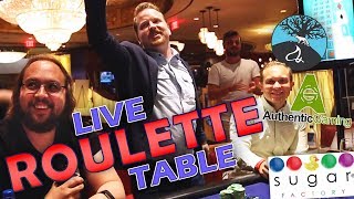 Authentic Roulette LIVE from Foxwoods Casino US  Vlog 26 [upl. by Ahsikan439]