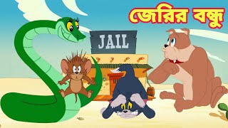 Tom And Jerry  Tom And Jerry Bangla  Tom And Jerry Cartoon  Bangla Tom And Jerry  Tom Jerry [upl. by Baron]