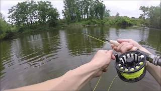 Fenwick Eagle fly rod and wade fishing [upl. by Grounds]