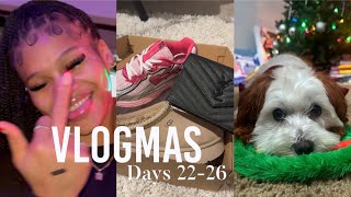 VLOGMAS DAYS 2226 Bonus Day  Christmas in Houston [upl. by Notsecnirp]