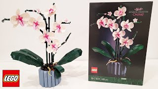 LEGO Orchid Review 2022 Botanical Collection [upl. by Einned]