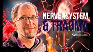 Vagusnerv  Nervensystem Polyvagaltheorie amp TraumaBewältigung [upl. by Nnaegroeg]