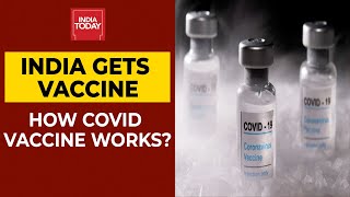 How Covishield Covaxin amp Pfizers Covid Vaccine Work  Coronavirus Update  India Today Exclusive [upl. by Acinok]