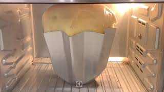 Pandoro Cake Oven Spring Hyperlapse [upl. by Abehshtab]