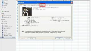 iTunes 歌詞を入力する [upl. by Romonda789]