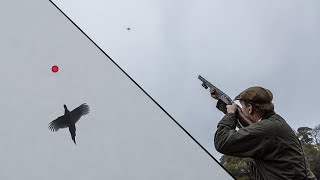 UK Pheasant Shooting  Filmed with ShotKam Gen 3 [upl. by Aihtnic]