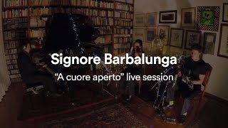 Andrea Cerrato  SIGNORE BARBALUNGA quotA cuore apertoquot live session [upl. by Noirda]