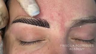 Microblading Fio a Fio Realista Treino em Pele Artificial  Michelle Rios [upl. by Yral]