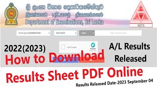 How to Download AL Results Sheet Online PDF 2022 2023 [upl. by Arbmat]