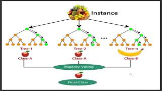 Random Forest Algorithm Explanation in Tamil  Machine Learning Algorithm Explanation [upl. by Messere]