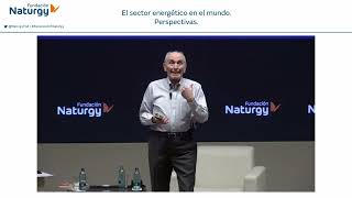 Webinar «El sector energético en el mundo Perspectivas» con Vaclav Smil [upl. by Retsevlys648]