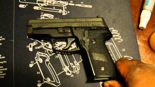 The ultimate concealed carry SIG the P229 DAK [upl. by Asilim]