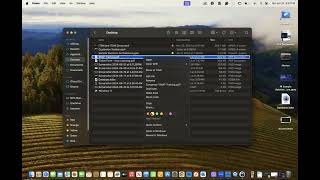 Apple Finder How to Organize Your Files Using Tags [upl. by How]