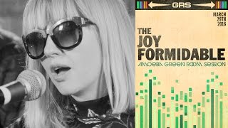 The Joy Formidable  Amoeba Green Room Session [upl. by Nolyaw]