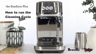 Bambino Plus Cleaning Cycle [upl. by Devad]