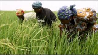 khawaaré Ngoyane Sénégal Medina Sabakh [upl. by Earal275]