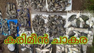 Chulatheruvu Karimeen lelam Malayalam Fishing videos [upl. by Ycniuqal]