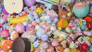 HUGE UPDATED SQUISHY COLLECTION [upl. by Solracsiul]