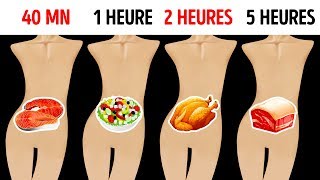 Combien de Temps Tes Aliments Préférés Restentils Dans Ton Estomac [upl. by Ecyor]