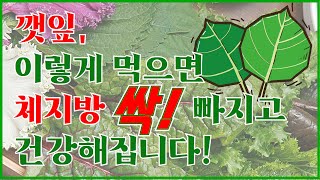 깻잎 이렇게 먹으면 체지방 싹 빠지고 건강해집니다 ㅣ 깻잎 효능 ㅣ 깻잎 부작용 ㅣ 깻잎 보관법 [upl. by Biancha]