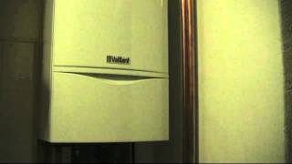 New Vaillant Ecotec plus boiler producing loud clicking noise [upl. by Jesselyn813]