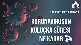 Korona Virüsünün Kuluçka Süresi Ne Kadar [upl. by Nivrek]