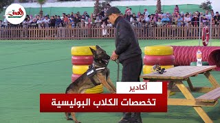 الشرطة السينوتقنية تعرف على أنواع الكلاب البوليسية ومجالات تدخلها [upl. by Anabelle222]