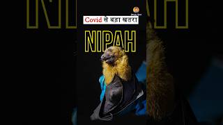 Nipah Virus Outbreak India on High Alert [upl. by Annor]