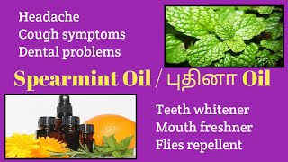 How to make mint essential oil at home  புதினா oil  Spearmint essential oil  homemade mint oil [upl. by Goulden843]