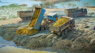 Excellent Skill Filling Deep Pond by Wheel Loader With Dump Truck Pushing Soil Into Deep Water [upl. by Gignac484]