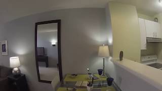 Streeterville Chicago Apartments  Lake Shore Plaza  1 Bedroom  GoPro Tour [upl. by Aicatsal747]