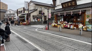 IRL Japon 🇯🇵quotEn la vendimiaquot🌧️ [upl. by Emaj]