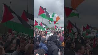 Ana dammi falastini song  Hyde park  London  27th April 2024  shorts palestine gaza muslim [upl. by Noit971]