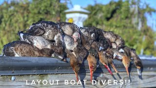 Layout Boat Diver Hunting Beat Down Michigan Hunting 2019 [upl. by Hutton]