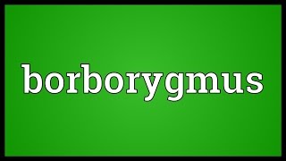 Borborygmus Meaning [upl. by Ihc211]