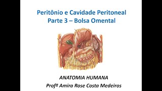 Peritônio Parte 3 Bolsa Omental [upl. by Curry]