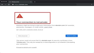 How To Fix Your Connection Is Not Private Error In Google Chrome [upl. by Nosneh]