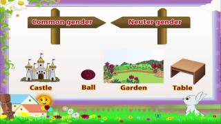 Learn Grade 3  English Grammar  Noun gender [upl. by Wons]