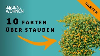 Pflanz und Pflegetipps für Stauden  10 Fakten zum Staudengarten [upl. by Molton800]