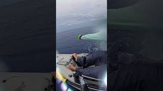 Sailfish  Crazy Kayak fishing  Sea fishing kayakfishing sea fishing oceanfishing kayak [upl. by Asilem]