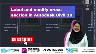 Label and modify cross section in Autodesk Civil 3D [upl. by Amelus]