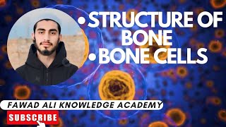 Structure of Bone with diagramBone Cells [upl. by Blayze]