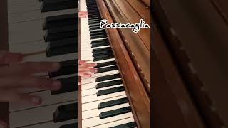 Passacagalia  HandelHalvorsen Piano Cover  Riya Rhythms pianocover riyarhythms passacaglia [upl. by Scriven]