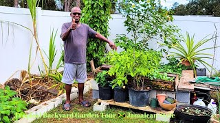 Jamaican Farmer Transforms Florida Backyard Into Farm [upl. by Melisa]