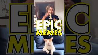 Epic Funny Memes 🤣 Daily Funny Videos pt263 [upl. by Nnayllas]