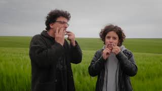 Jews harp in the field [upl. by Aivek]