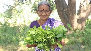 How to cook spinach curry By My Grandma  Myna Street Food [upl. by Enyamrahs]